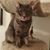 Theresa Bocklage's profile image