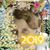 Jetty Hilster's profile image