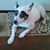 Patti Mason Denison's profile image