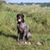 Douglas Germer's profile image