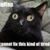 Debbie Lynn Simpson's profile image