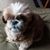Sharon Jones-Selke's profile image