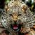 Juan Antillon's profile image