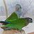 Tammy Connelly's profile image