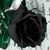 Christle Mcrae's profile image