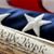 Nancy Dooney Heykoop's profile image