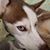 Troy Bissonnette's profile image