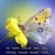 Amelia Chavarria's profile image