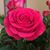 Pamela Benninghoff's profile image