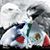 Jose Valdez's profile image
