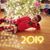 Karen Leigh Chapin's profile image