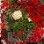 Deborah Slone Sexton's profile image