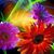 Donna Stewart's profile image