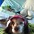 Kathleen Laughman's profile image