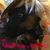 Tara Haidinger's profile image