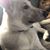 Dawn Patzer-Wage's profile image