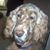 Anna M Quigley's profile image