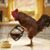 Rick Provincia's profile image