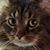Shawn D Vogt's profile image