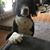 Frederick E Mack Jr's profile image