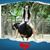 Heather Harrison's profile image