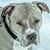 Heidi Moyer's profile image