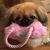 Sarah Henry's profile image