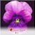 Christine Wooten's profile image