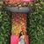 Vanessa Ulloa's profile image