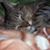 Karen Ebbe's profile image