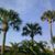 Bonnie Knoll's profile image