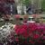 Peggy Wilson Sanborn's profile image