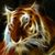 Bill Pappernek's profile image