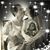 Sherry Wolfe's profile image