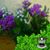 Ruth Paradis's profile image
