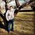 Savannah Wood's profile image