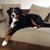 Kathy S. Morgan's profile image