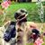 Holly Parks Eddy's profile image