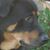 Trudy Pascoe's profile image