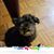 Michele Mendez's profile image