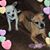 Victoria Caston's profile image