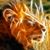 Kenn R.'s profile image