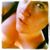 Lesley Marrone Anderson's profile image
