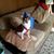 Janiece Treff Studt's profile image