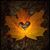Fran Hatzenbuhler's profile image