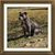 Brian Wood's profile image