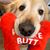 Sally Gesouras's profile image
