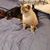 Peggy Auwerda's profile image