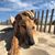 Sonja Armel's profile image