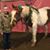 Peggy Goett's profile image